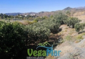Terreno no urbanizable en venta en la España, Jete, ref: TR397831 foto