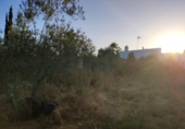 Chalet independiente con terreno en venta en la España, Marchena, ref: TR296983 foto