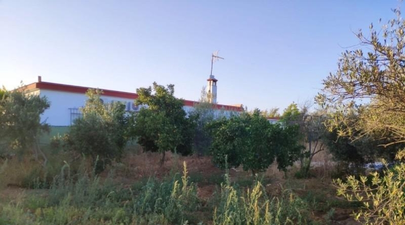 Sevilla - Marchena - 2000m2