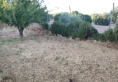 Chalet independiente con terreno en venta en la España, Marchena, ref: TR296983 foto