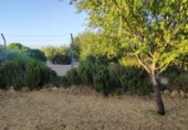 Chalet independiente con terreno en venta en la España, Marchena, ref: TR296983 foto