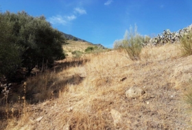 Grazalema 120000&nbsp;m²