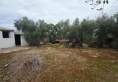 Chalet independiente con terreno en venta en la España, Pedroche, ref: TR301446 foto