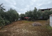 Chalet independiente con terreno en venta en la España, Pedroche, ref: TR301446 foto
