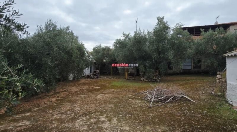 Córdoba - Pedroche - 600m2