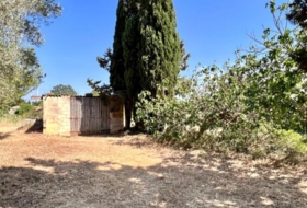 Foto 15