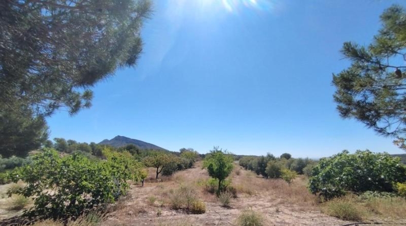 Murcia - Abanilla - 69012m2