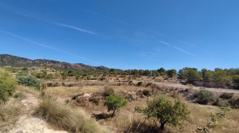 Murcia - Abanilla - 69012m2