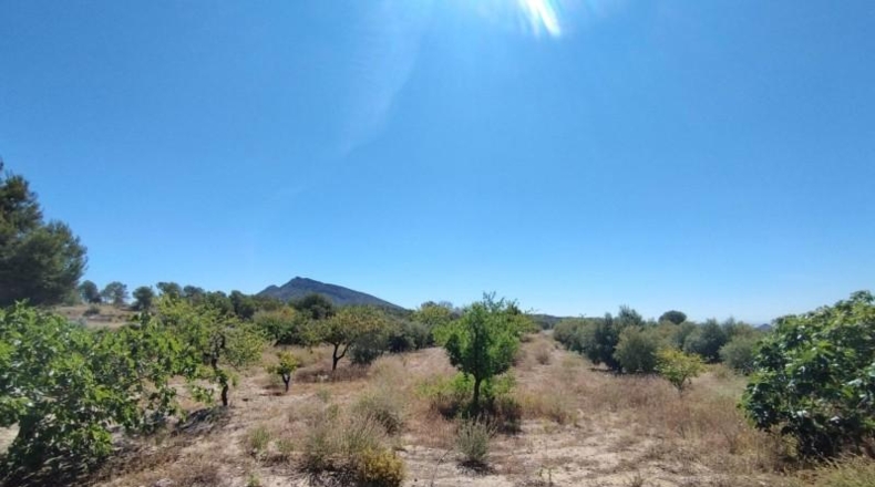 Murcia - Abanilla - 69012m2