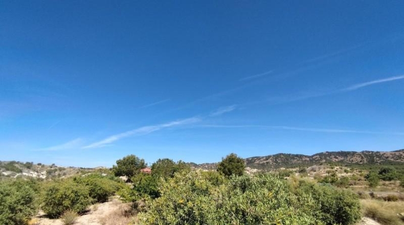 Murcia - Abanilla - 69012m2