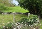 Non-developable land for sale on España, Roiz, ref: TR408183 photo