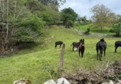 Non-developable land for sale on España, Roiz, ref: TR408183 photo