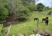 Non-developable land for sale on España, Roiz, ref: TR408183 photo