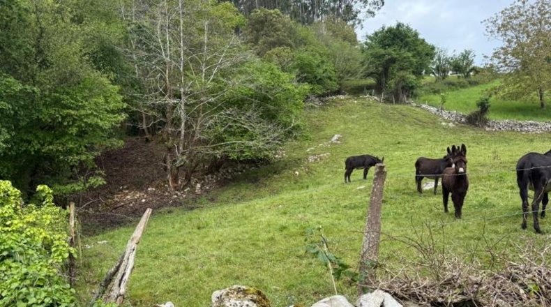 Cantabria - Roiz - 1654m2