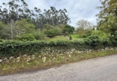 Non-developable land for sale on España, Roiz, ref: TR408183 photo