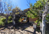 Casa de campo con terreno en venta en la España, Albaida, ref: TR408045 foto