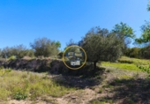 Casa de campo con terreno en venta en la España, Albaida, ref: TR408045 foto
