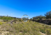 Casa de campo con terreno en venta en la España, Albaida, ref: TR408045 foto