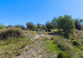 Casa de campo con terreno en venta en la España, Albaida, ref: TR408045 foto