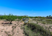 Casa de campo con terreno en venta en la España, Albaida, ref: TR408045 foto