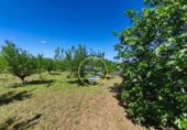 Casa de campo con terreno en venta en la España, Albaida, ref: TR408045 foto