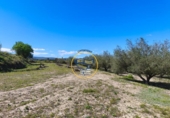 Casa de campo con terreno en venta en la España, Albaida, ref: TR408045 foto