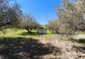 Casa de campo con terreno en venta en la España, Albaida, ref: TR408045 foto