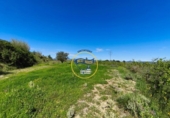 Casa de campo con terreno en venta en la España, Albaida, ref: TR408045 foto