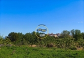 Casa de campo con terreno en venta en la España, Albaida, ref: TR408045 foto
