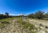 Casa de campo con terreno en venta en la España, Albaida, ref: TR408045 foto
