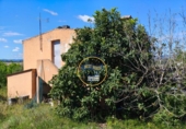 Casa de campo con terreno en venta en la España, Albaida, ref: TR408045 foto