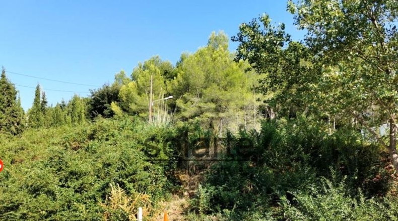 Barcelona - Barcelona - 1100m2
