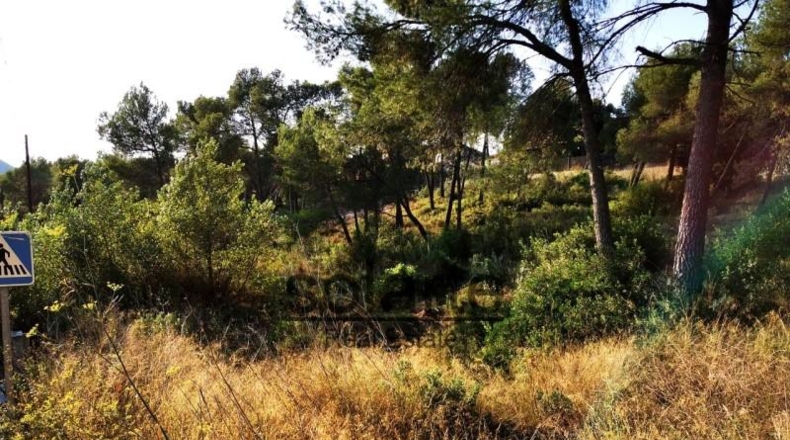 Barcelona - Barcelona - 1100m2