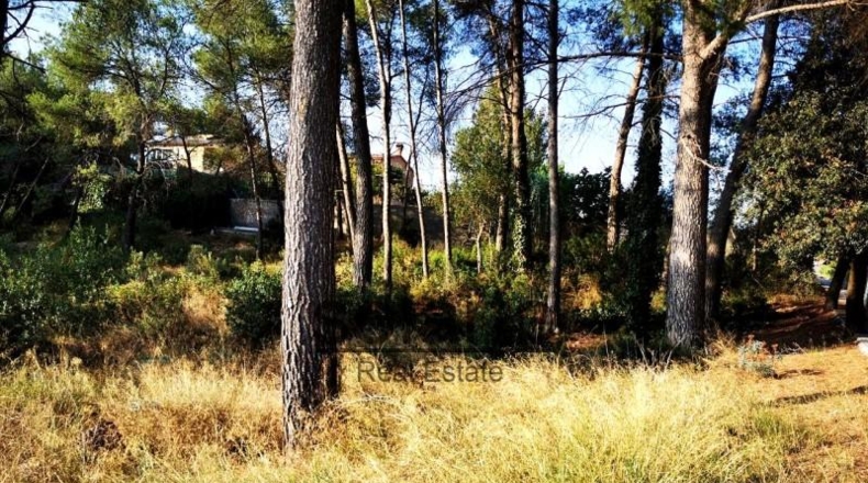 Barcelona - Barcelona - 1100m2