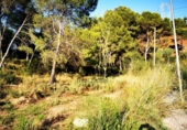 Parcela urbanizable en venta en la España, Barcelona, ref: TR169895 foto