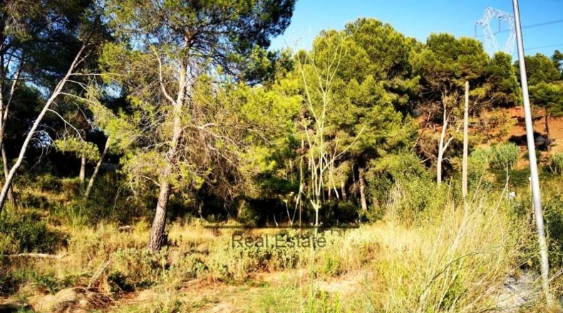 Barcelona - Barcelona - 1100m2