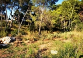 Parcela urbanizable en venta en la España, Barcelona, ref: TR169895 foto