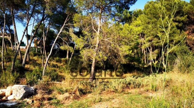 Barcelona - Barcelona - 1100m2