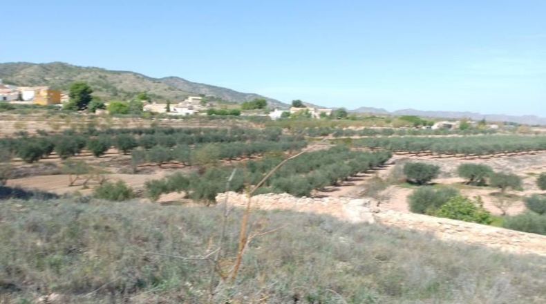 Murcia - Yecla - 9400m2