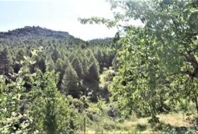 Foto 8