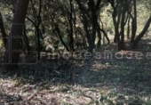 Land suitable for development for sale on España, Vacarisses, ref: TR131038 photo