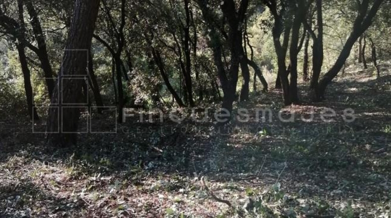 Barcelona - Vacarisses - 2860m2
