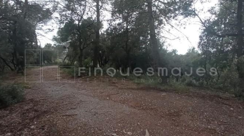 Barcelona - Vacarisses - 2860m2