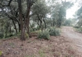 Land suitable for development for sale on España, Vacarisses, ref: TR131038 photo