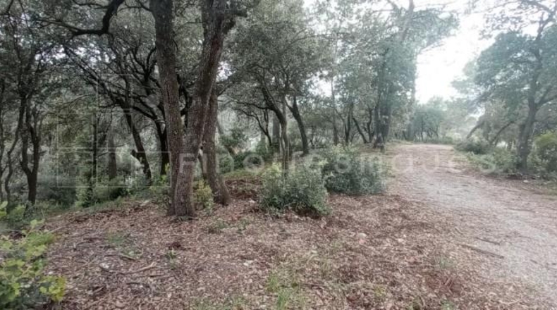 Barcelona - Vacarisses - 2860m2