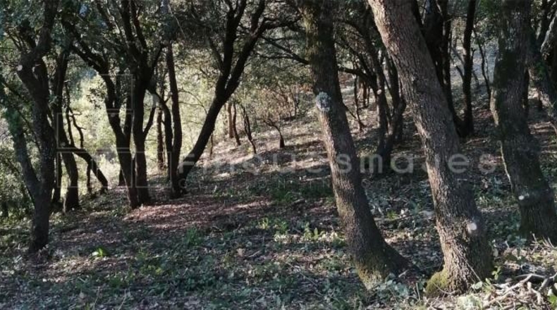 Barcelona - Vacarisses - 2860m2