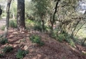 Land suitable for development for sale on España, Vacarisses, ref: TR131038 photo