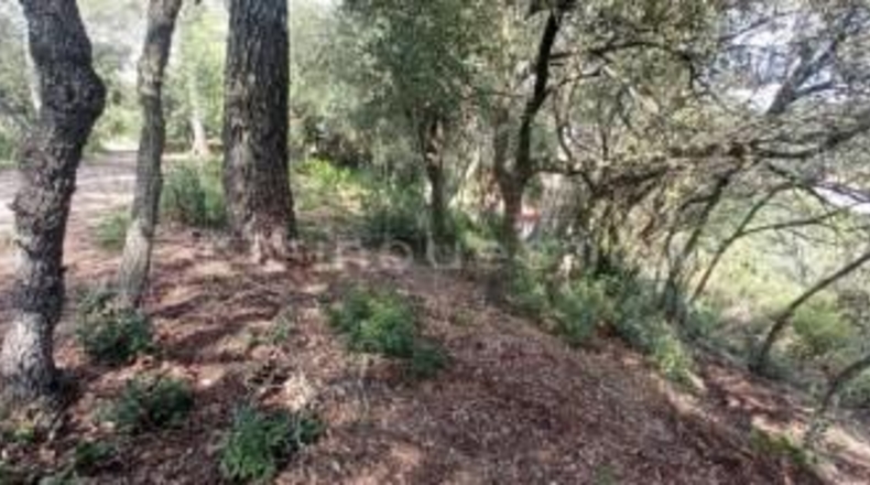Barcelona - Vacarisses - 2860m2