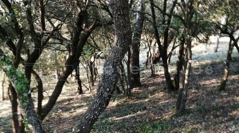 Barcelona - Vacarisses - 2860m2