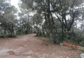 Land suitable for development for sale on España, Vacarisses, ref: TR131038 photo